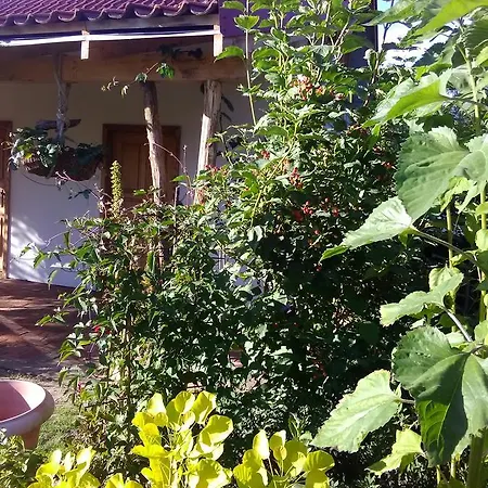 Lesny Zakatek Kolo Ostrody 3* Gierloz (Ostroda)