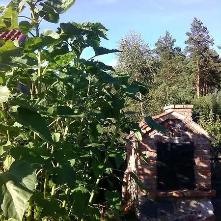 Lesny Zakatek Gierloz (Ostroda)