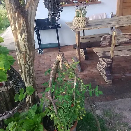 B&B Lesny Zakatek Kolo Ostrody