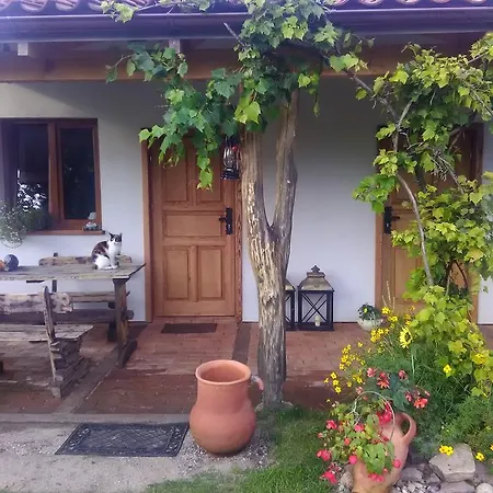 B&B Lesny Zakatek Kolo Ostrody Gierloz (Ostroda)
