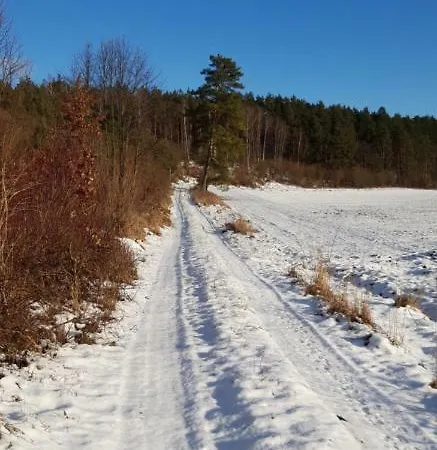 Lesny Zakatek Kolo Ostrody Gierloz (Ostroda)