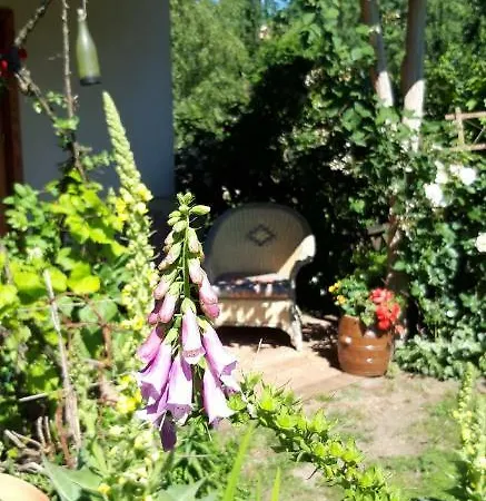 Lesny Zakatek Kolo Ostrody B&B